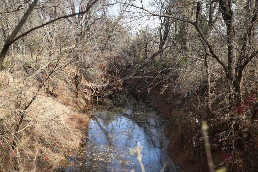 A shallow creek located near S Mustang Rd is at risk of possibly drying out in the future.